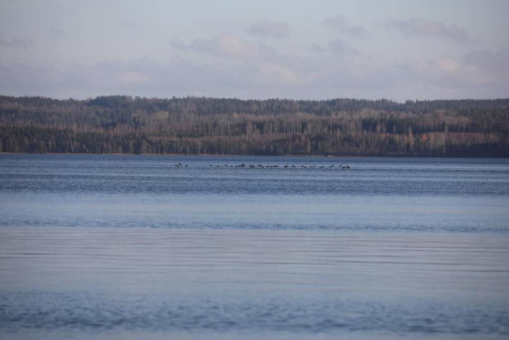 Sjoenaera Stuga Med Bat Och Bastu 拉姆克维拉 外观 照片